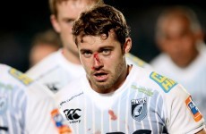Halfpenny and Cuthbert guide Cardiff to Heineken Cup win over Warriors