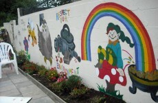 Vandals destroy Dublin community garden and steal Christmas lights