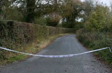Human skull discovered in Meath