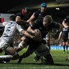 Tigers keep up Ulster hunt with bonus point win over Montpellier