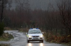 Two men arrested after garda car rammed in burglary chase
