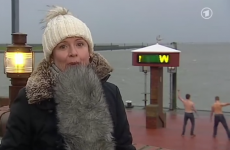 Topless dancing videobombers take over live TV news report