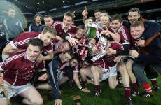 8 of Kilkenny's best sporting moments in 2013