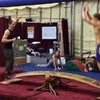 Two gymnasts played the most incredible seesaw you'll see