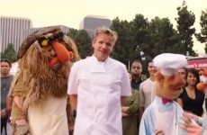 WATCH: Gordon Ramsay takes on the Swedish Chef from the Muppets