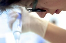 Irish scientists encouraged to chase €80 billion EU fund