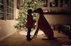 Open thread: What's your favourite Christmas memory?