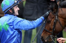 Winners alright: 7 Irish horses that got us talking in 2013