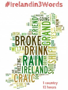In #BOD and #vinb we trust: Ireland on Twitter in 2013