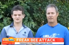 Watch this Dad's hilarious response to his son being attacked by bees