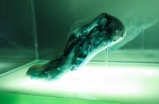 Designer creates self-healing, 3D-printed running shoes