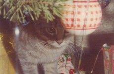 3 heartwarming memories of Irish Christmas in decades gone by