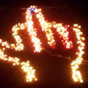 Woman uses Christmas lights to give her neighbours the middle finger