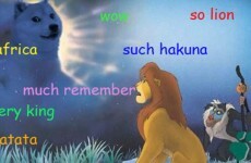 Introducing Doge, the internet meme which has everybody talking like idiots