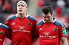 David Wallace: Munster to deepen Perpignan's dented confidence