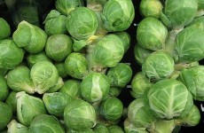 The Burning Question*: Christmas Day Brussels sprouts: yay or nay?