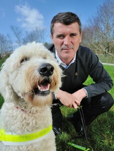 'The best sport out there is hurling' -- Roy Keane on his favourite game