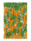 Christmas wrapping paper that lets you grow your own