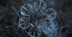 Yes, these photos of snowflakes were taken with regular camera