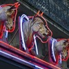21 people arrested in French horsemeat probe