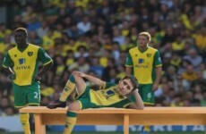 Fan writes brilliant song about Wes Hoolahan’s life on the bench
