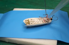 This video of a moth 'inflating' will make you say NOPE