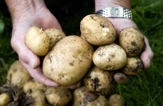 Price of potatoes drops by almost a third in one year