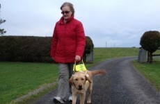 Sligo garda raising funds for guide dog charity after mother's freak accident