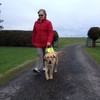 Sligo garda raising funds for guide dog charity after mother's freak accident