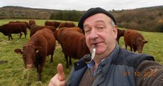 Irish farmers are taking selfies for a Facebook competition