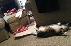 Is opening presents on Christmas Eve a scandalous notion?