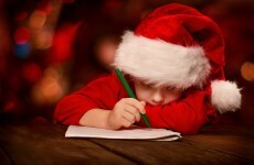 'A taser for the Ceann Comhairle': Here's what our politicians are asking Santa for this Christmas