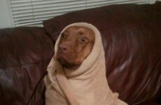 13 things that are giving you the worst Sunday night fear EVER