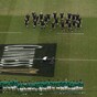Rattling the All Blacks and GAA gold - I was there in 2013
