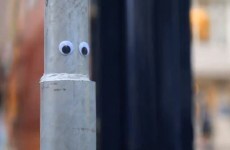 Googly eyes are taking over the world, and we're okay with that