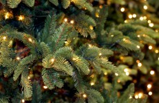London police search for Christmas tree thief