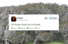 The Irish people of Twitter can't cope with this wind