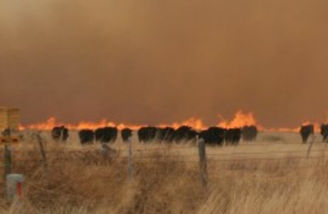 Homeless man charged with arson as crews battle fierce wildfires in Texas