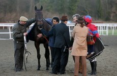 Sprinter Sacre set for heart scans as he's pulled up in Kempton comeback