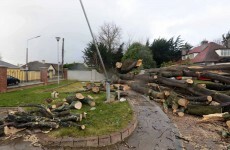 ESB power restoration ‘frustratingly slow’ with 5,000 still without power