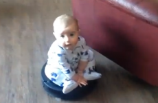 You'll never be as gangster as this baby riding a roomba hoover