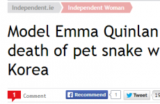 Stop! 2013 has a last-minute winner for 'weirdest Irish headline'