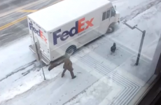 Angry turkey chases helpless delivery driver around van