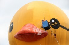 Watch the moment a giant rubber duck burst horribly in Taiwan