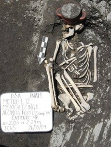 Mexican archaeologists find Aztec dog skull displayed like a human sacrifice