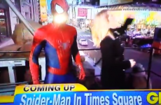 'Spiderman' appears on news show... and fails to save reporter