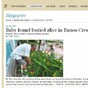 Baby found buried alive in a rooftop garden in Singapore