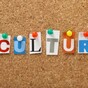 Poll: Do you support the City of Culture scheme?