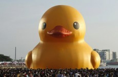 Dutch artist and Taiwanese stall holder fight over a 59-foot rubber duck