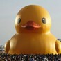 Dutch artist and Taiwanese stall holder fight over a 59-foot rubber duck
